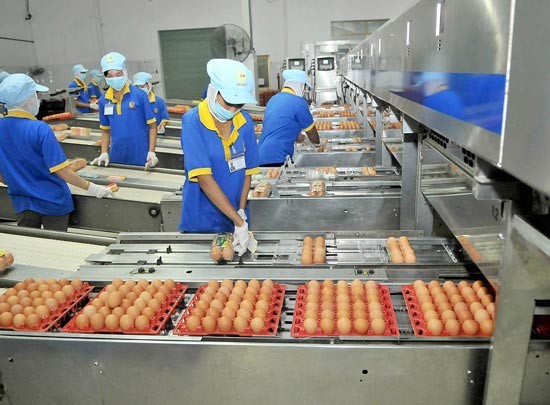 Necessary commodities such as egg will be abundant with stable prices in the coming Tet holidays in HCMC (Photo: SGGP)